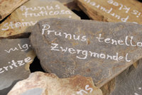 090601_Steine_beschriftet_08.jpg