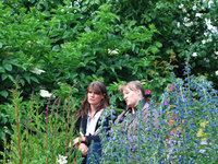 090609_Weisel_Ausschnitt.jpg