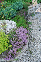 090610_Langen_Mauer1_06.jpg