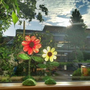 blumen.jpg