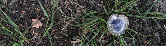 IMG_0250
