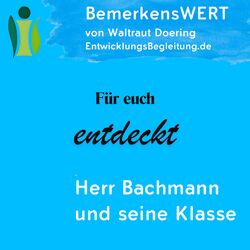 Herr Bachmann und seine Klasse