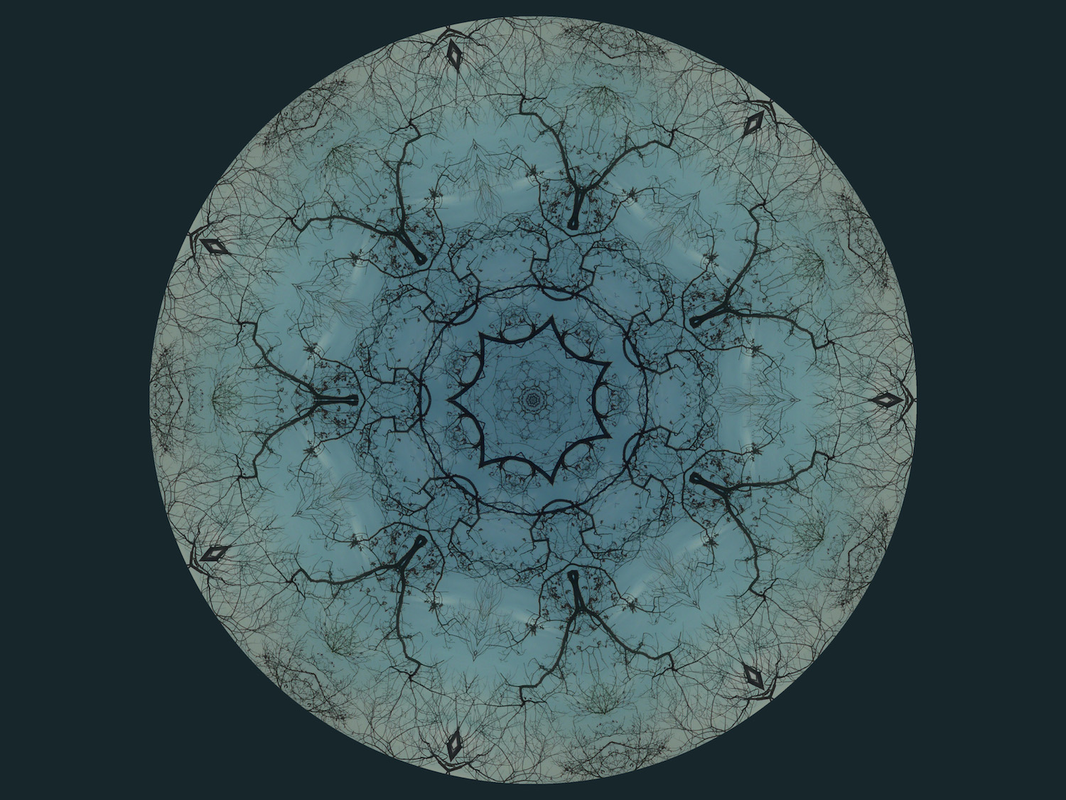 P1010348_KaleidoFX