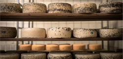 Der Käse reift
