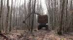 Wichtiges Klimaschutz-Holz wird aus dem Wald geholt