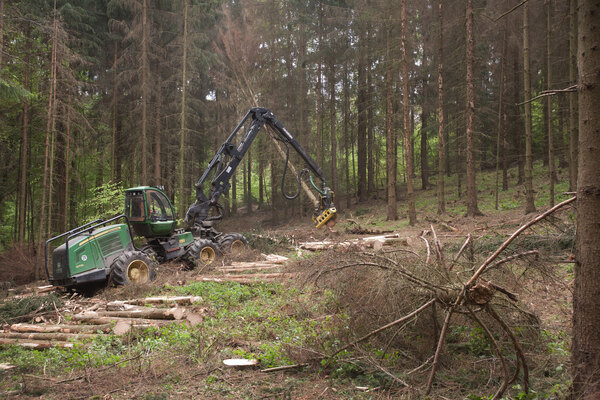 Rodung Waldstück geplante Carbonex Fabrik