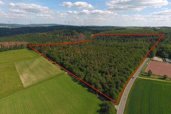 Waldstück bei Huppert mit eingezeichneter Fläche für das Industriegebiet