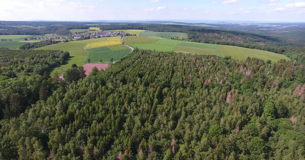 Blick auf Waldstück mit Huppert im Hintergrund