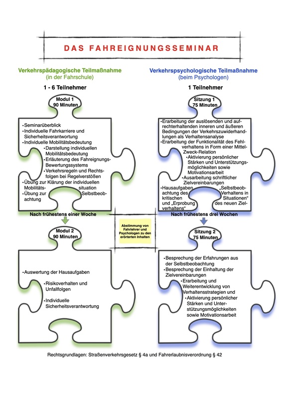 Darstellung Fahreignungsseminar