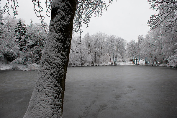 Traces on ice 13_25280055.jpg