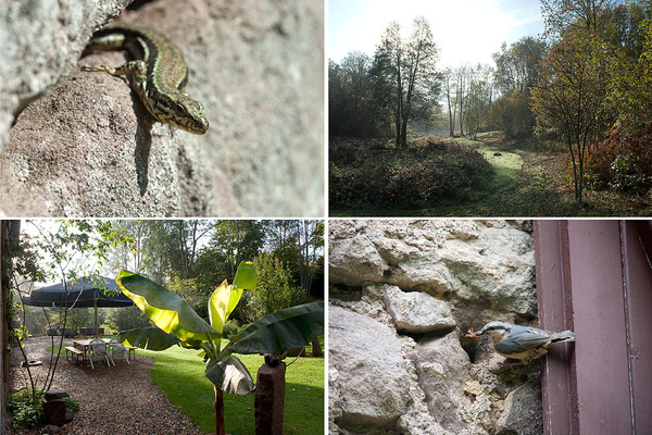 Flora and Fauna 18_Tiere_Landschaft_4er_Block.jpg