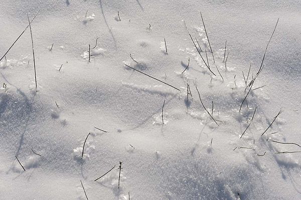 Winter, St. Colomban, Frankreich 2010 28070023.jpg
