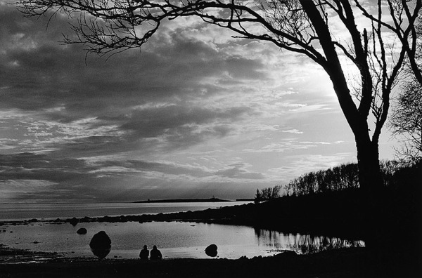 mk_20101055.jpg