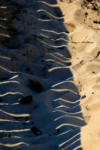 25 22 093 Frankreich Sandstrand 1987