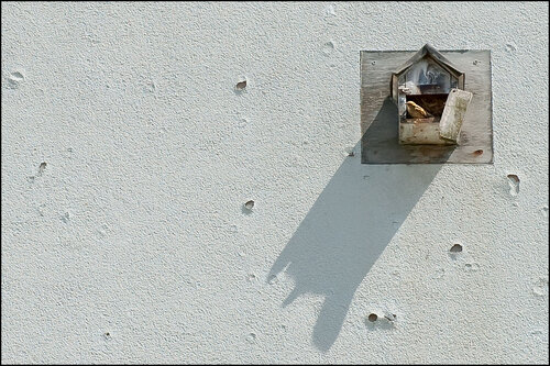 25 25  096 Berlin Vogelhaeuschen 2012