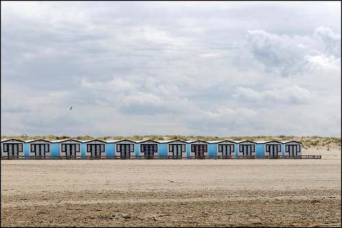 25 45 116 Nordseestrand NL 2018